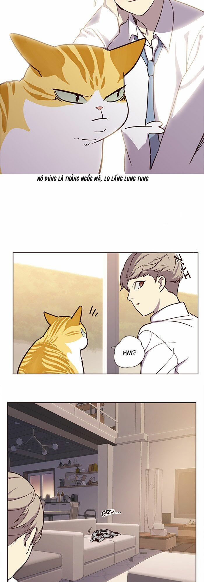Hoá Thân Thành Mèo - Chapter 10 - Page 12