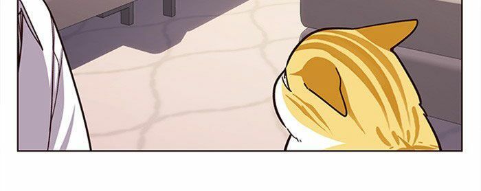 Hoá Thân Thành Mèo - Chapter 10 - Page 13