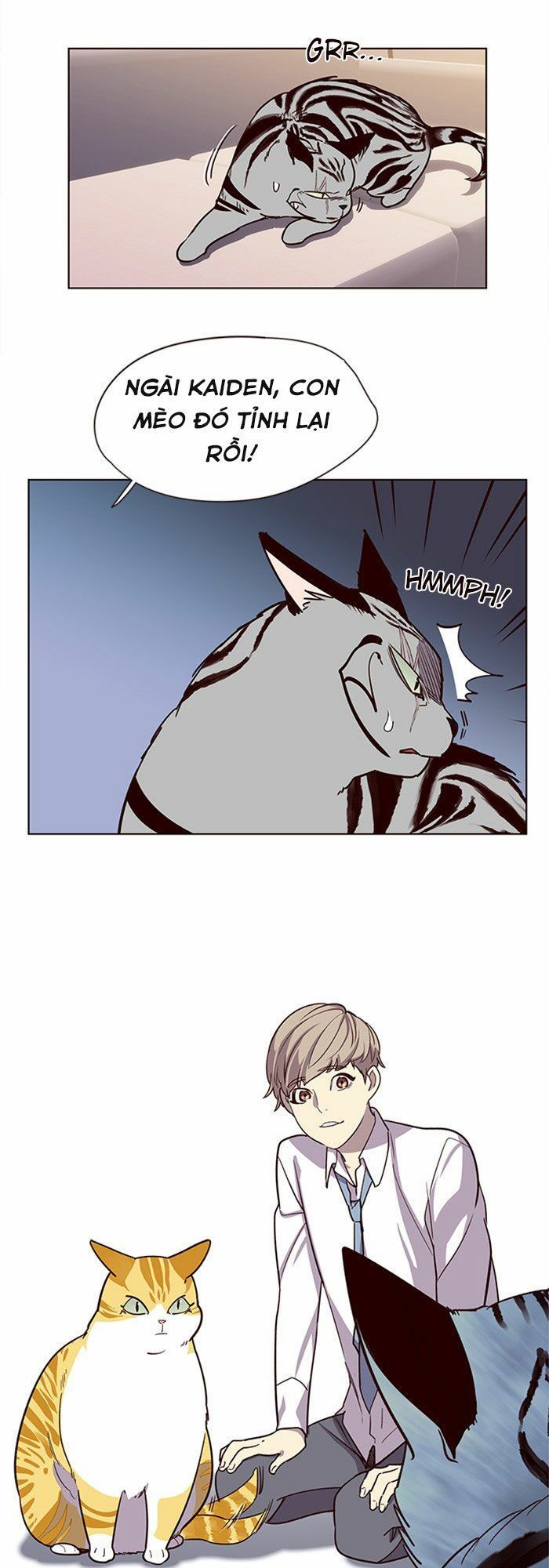 Hoá Thân Thành Mèo - Chapter 10 - Page 14