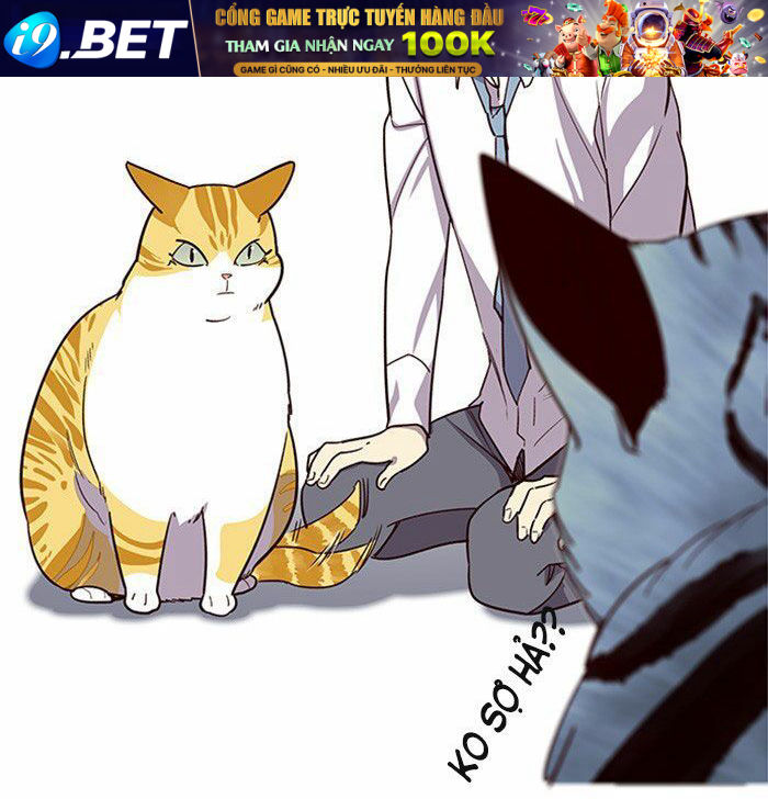 Hoá Thân Thành Mèo - Chapter 10 - Page 17