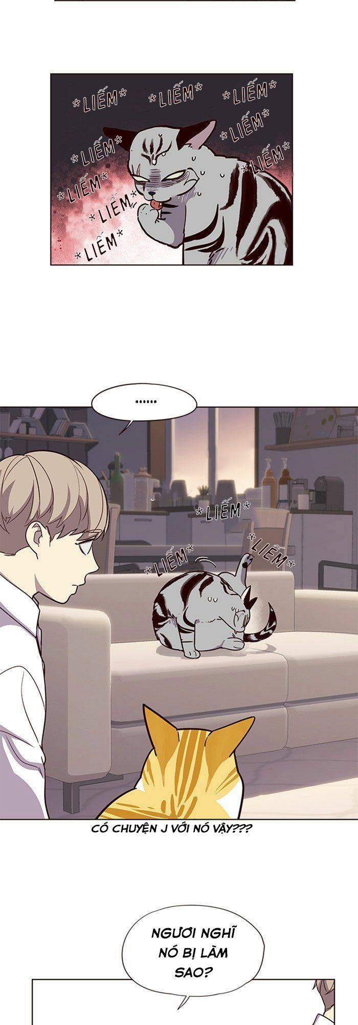 Hoá Thân Thành Mèo - Chapter 10 - Page 20