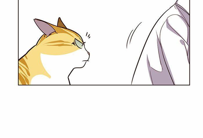 Hoá Thân Thành Mèo - Chapter 10 - Page 21