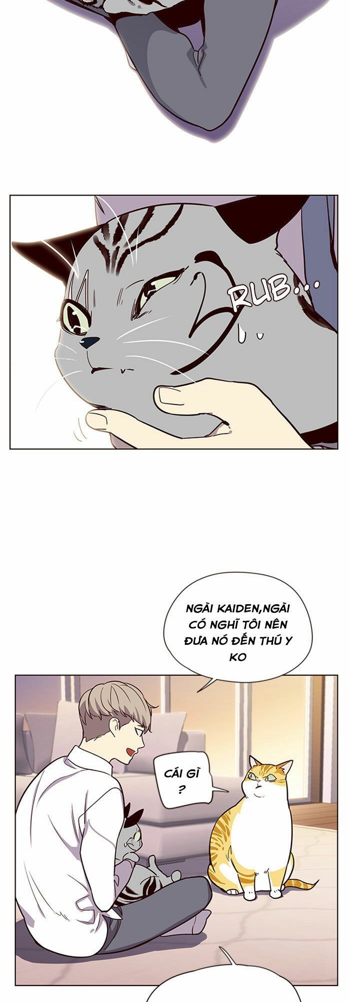 Hoá Thân Thành Mèo - Chapter 10 - Page 24
