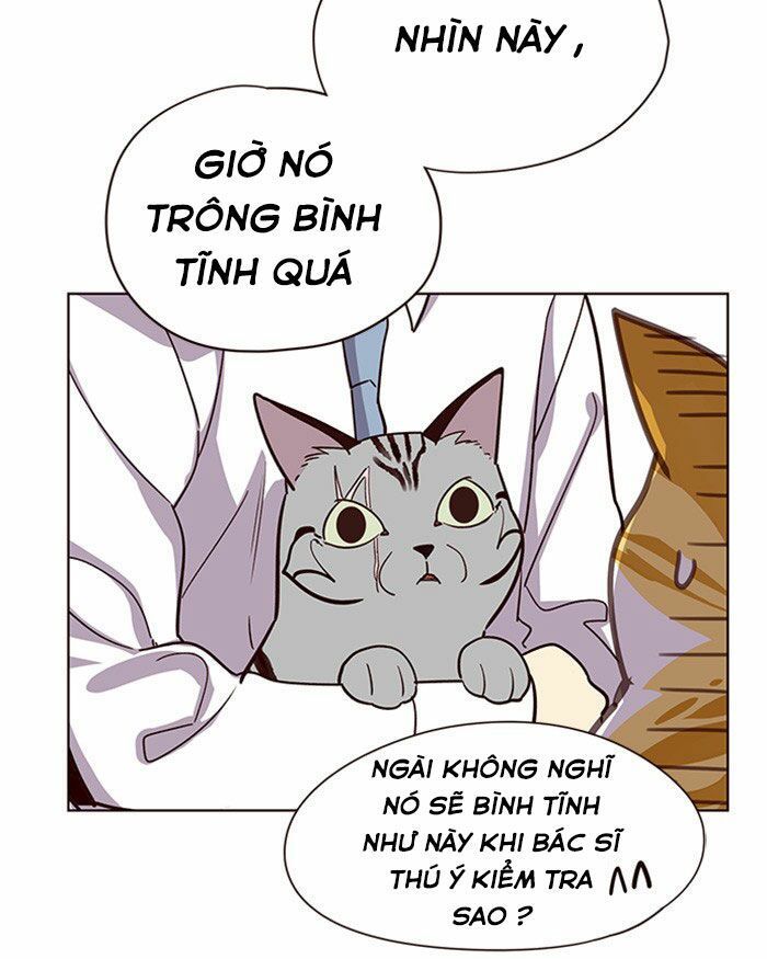 Hoá Thân Thành Mèo - Chapter 10 - Page 25