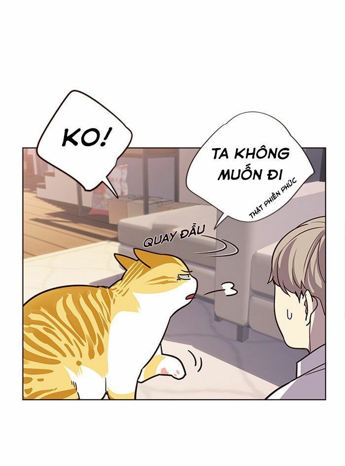 Hoá Thân Thành Mèo - Chapter 10 - Page 29