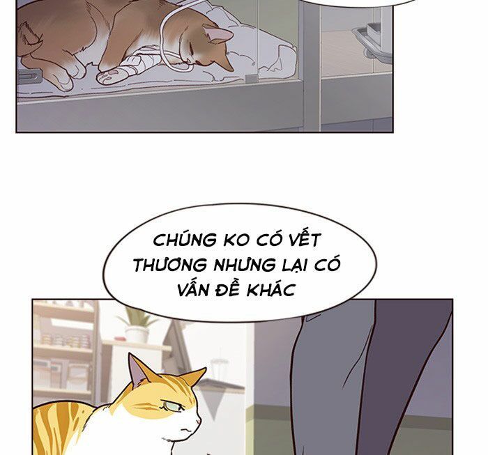 Hoá Thân Thành Mèo - Chapter 10 - Page 47