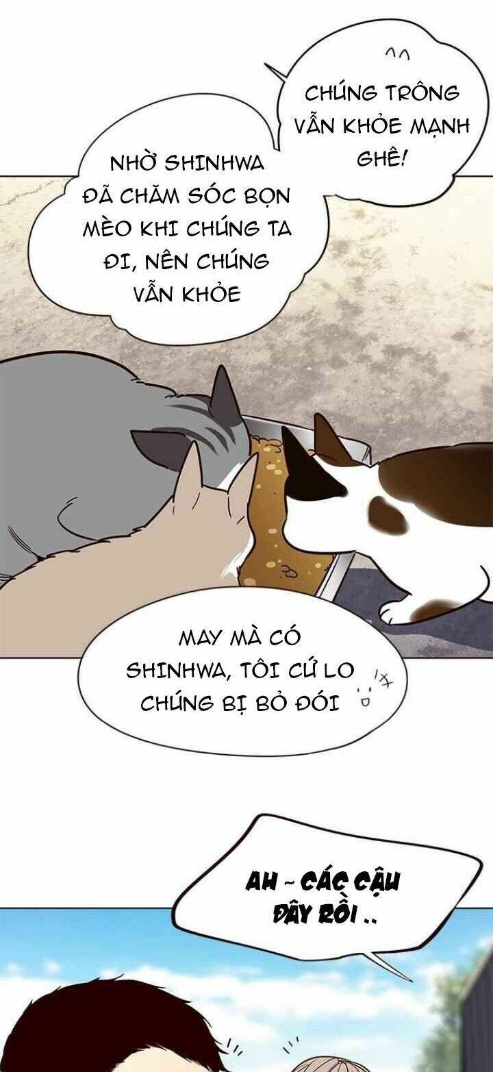 Hoá Thân Thành Mèo - Chapter 100 - Page 10