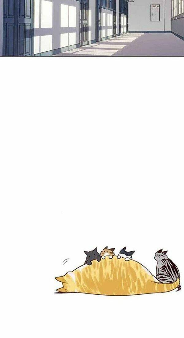 Hoá Thân Thành Mèo - Chapter 100 - Page 53