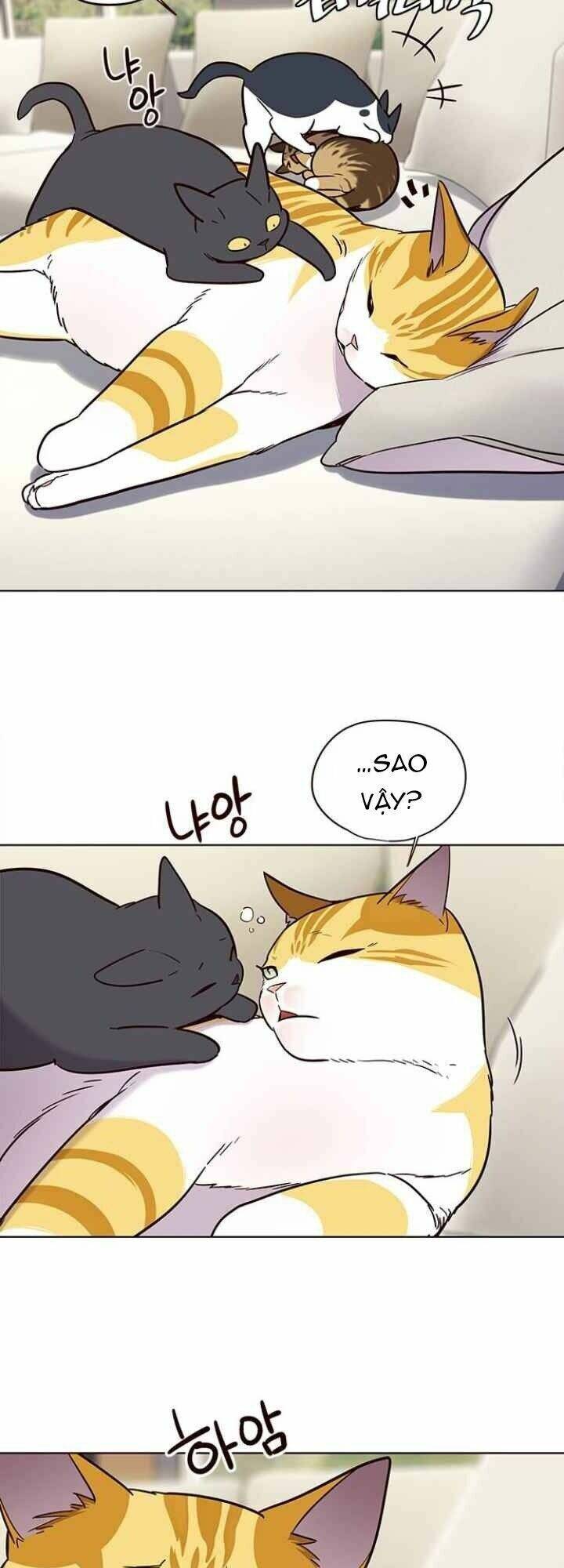 Hoá Thân Thành Mèo - Chapter 101 - Page 3