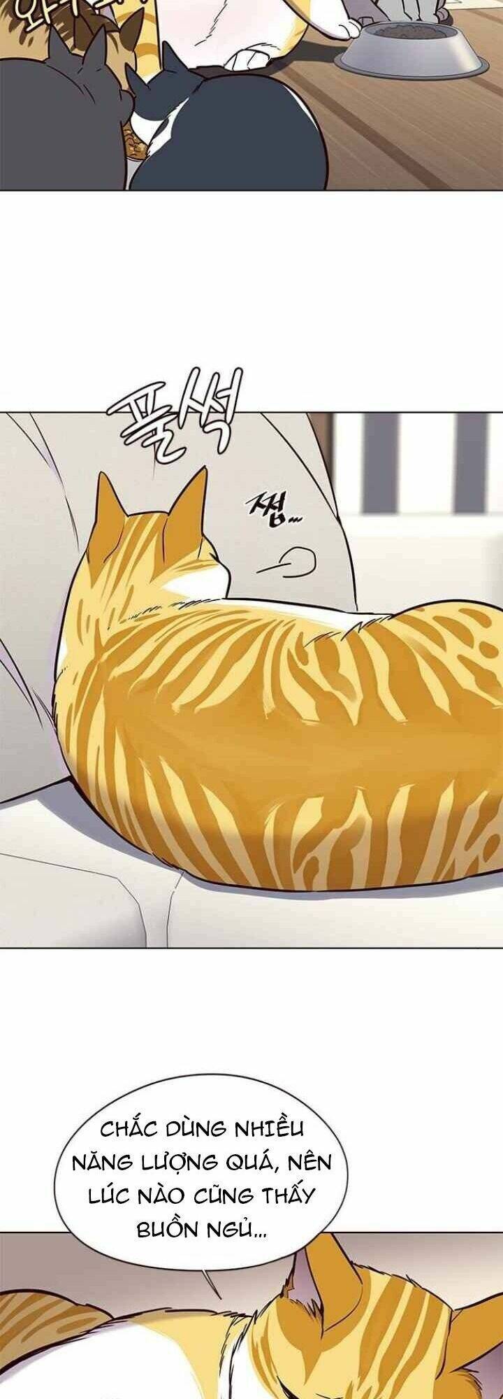 Hoá Thân Thành Mèo - Chapter 101 - Page 6