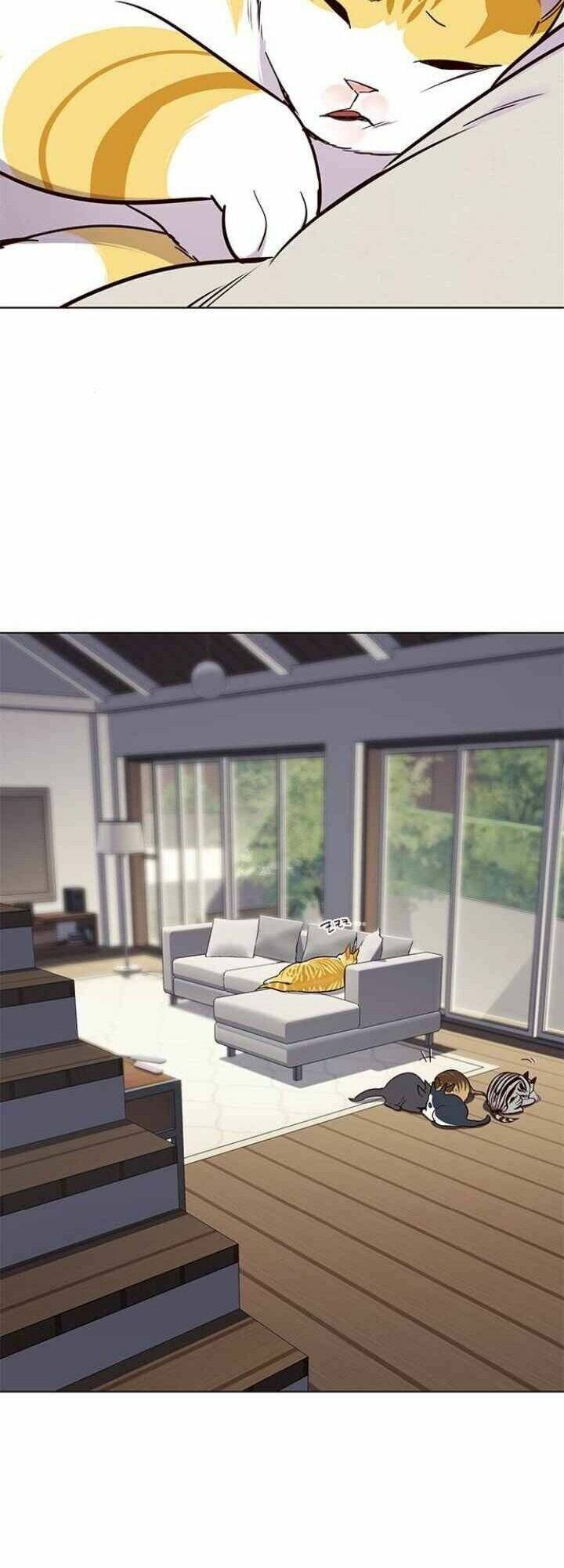 Hoá Thân Thành Mèo - Chapter 101 - Page 7