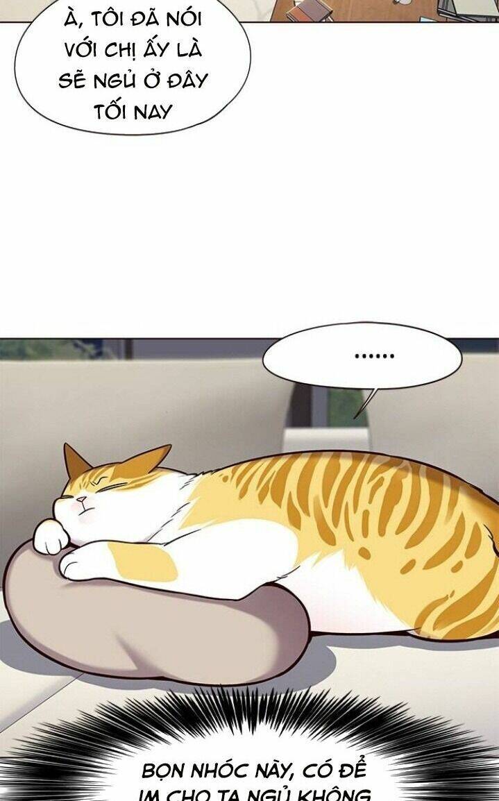 Hoá Thân Thành Mèo - Chapter 102 - Page 44