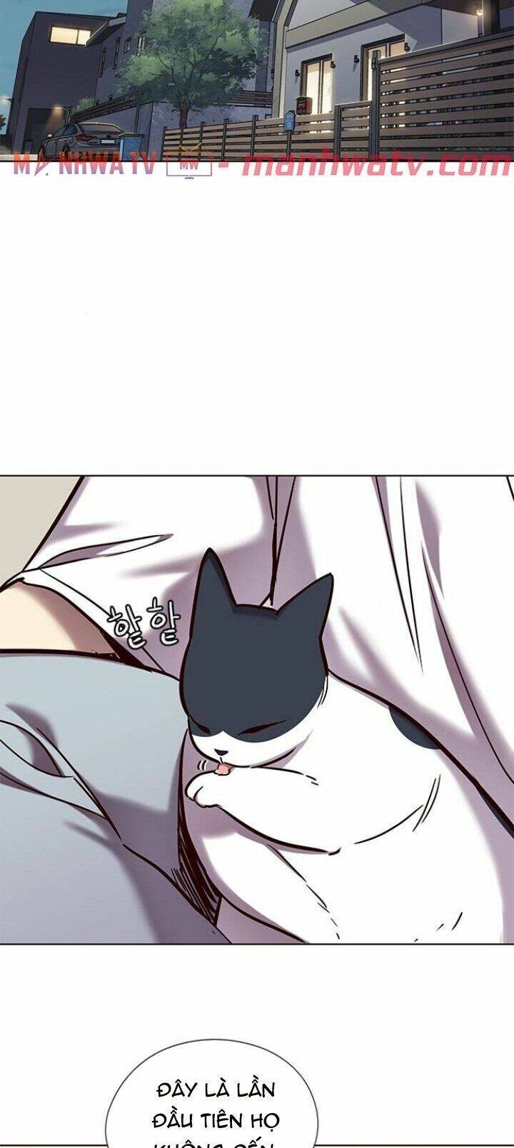 Hoá Thân Thành Mèo - Chapter 104 - Page 69
