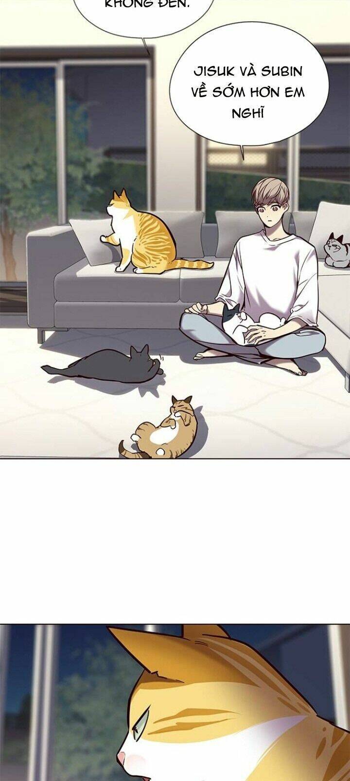 Hoá Thân Thành Mèo - Chapter 104 - Page 70