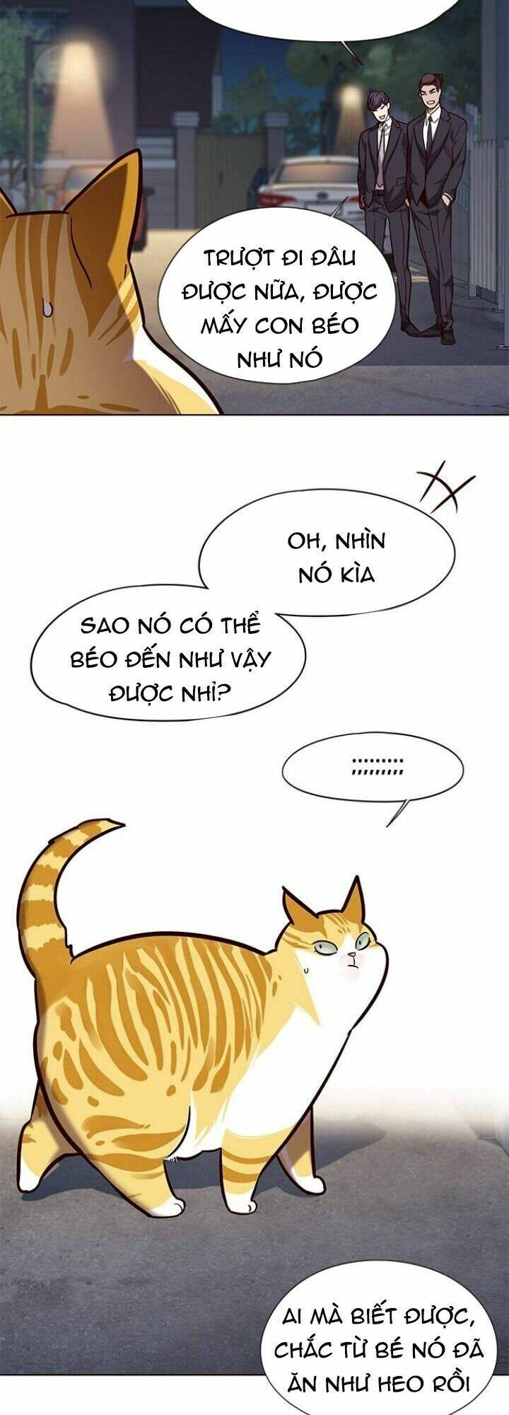 Hoá Thân Thành Mèo - Chapter 105 - Page 11