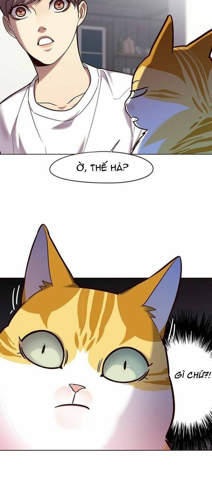 Hoá Thân Thành Mèo - Chapter 105 - Page 16