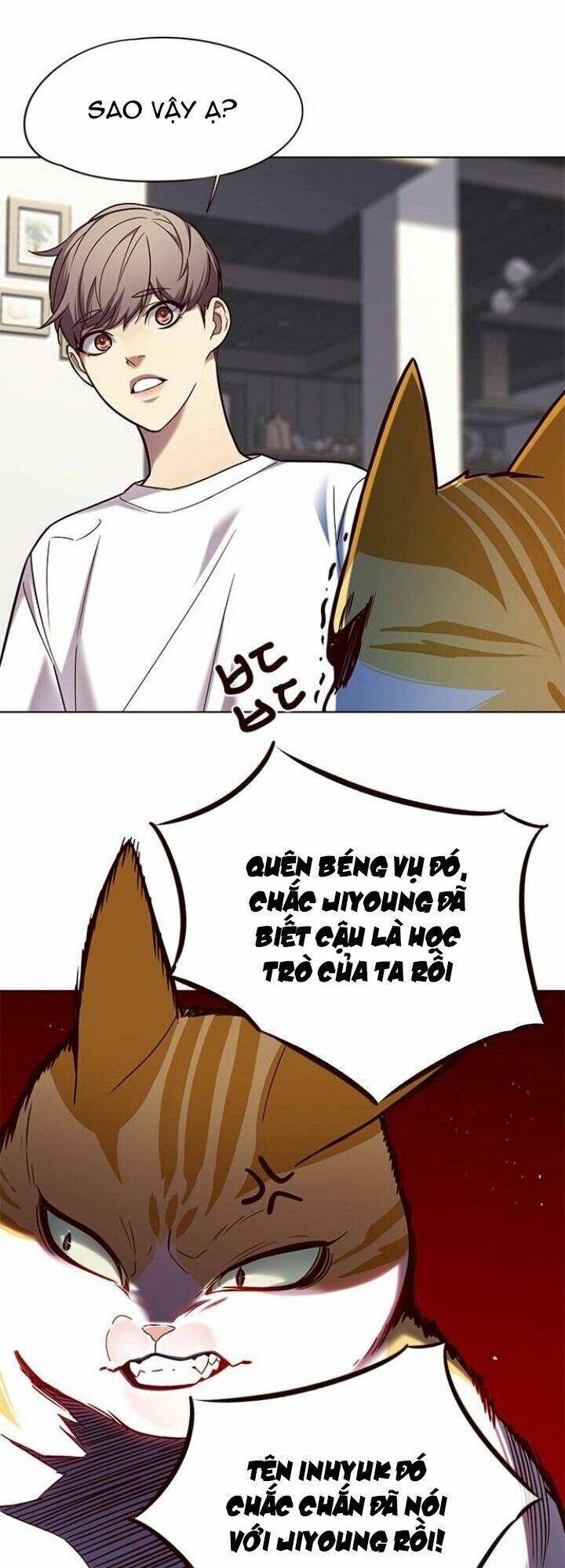 Hoá Thân Thành Mèo - Chapter 105 - Page 17