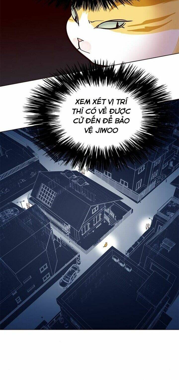 Hoá Thân Thành Mèo - Chapter 105 - Page 9