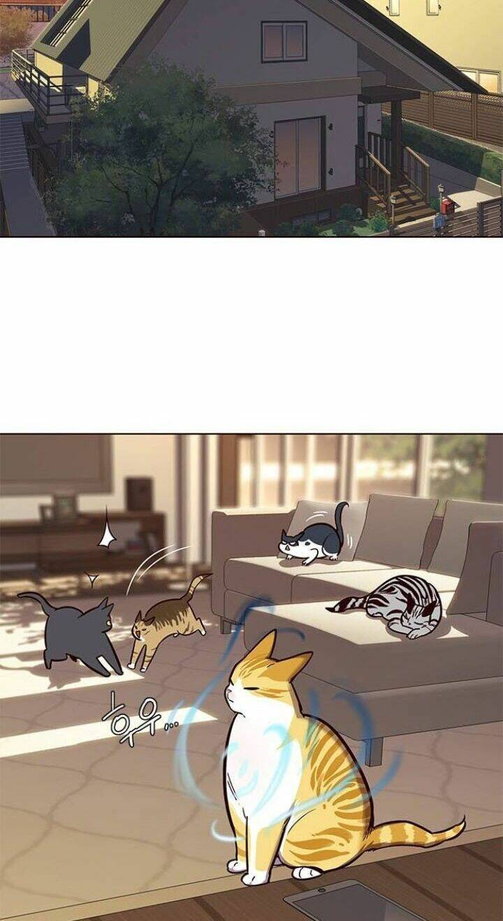 Hoá Thân Thành Mèo - Chapter 106 - Page 46