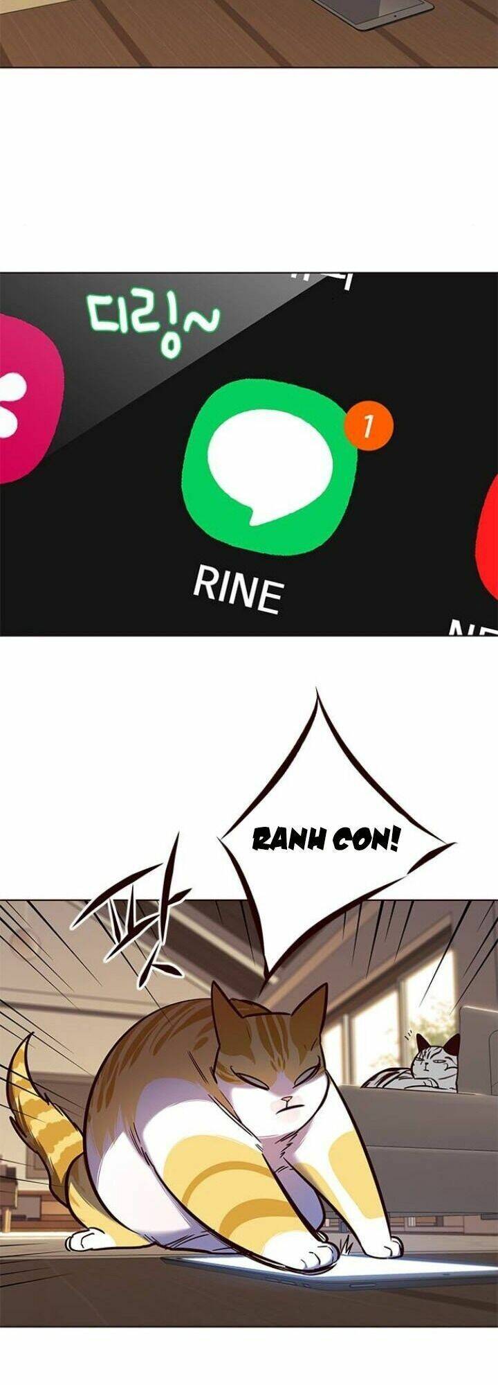 Hoá Thân Thành Mèo - Chapter 106 - Page 47