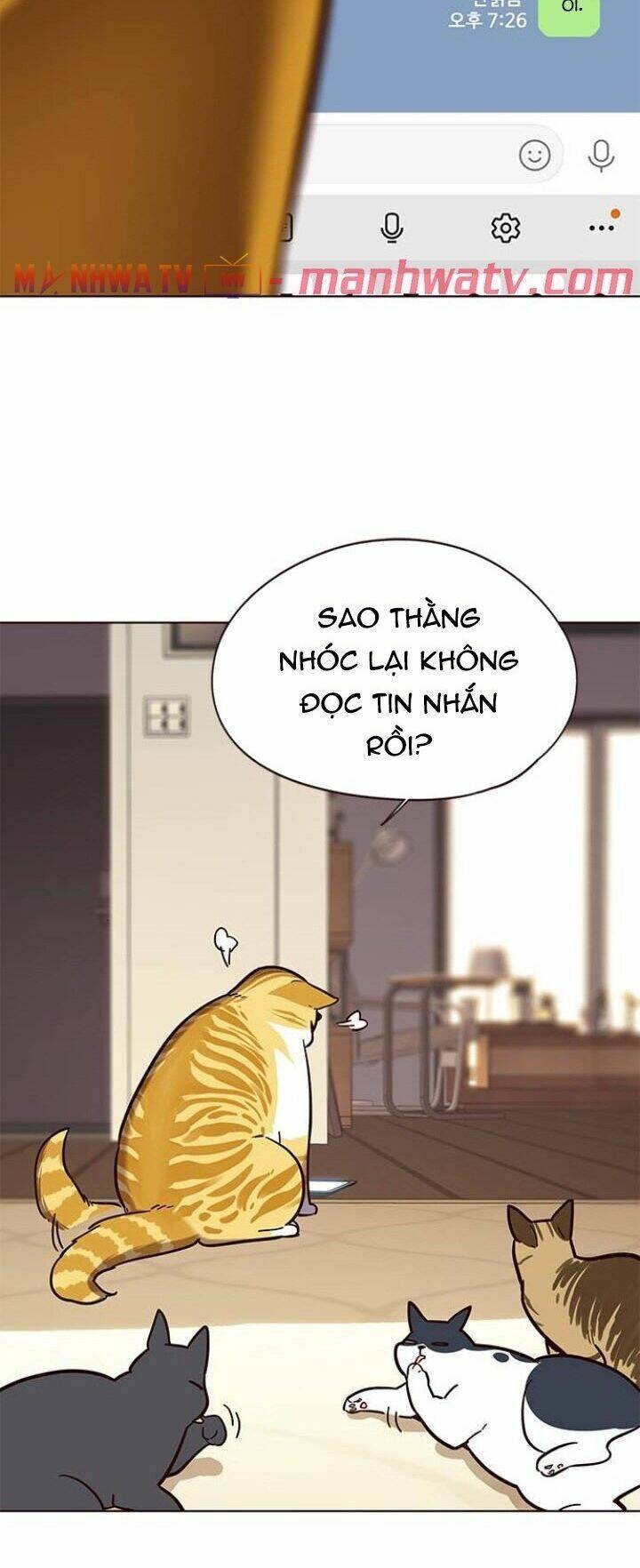 Hoá Thân Thành Mèo - Chapter 106 - Page 57