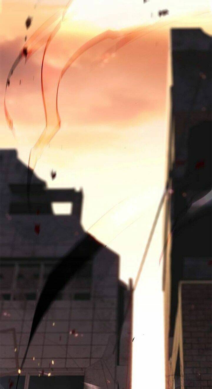 Hoá Thân Thành Mèo - Chapter 107 - Page 7