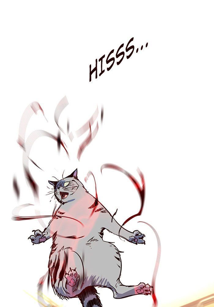Hoá Thân Thành Mèo - Chapter 11 - Page 118
