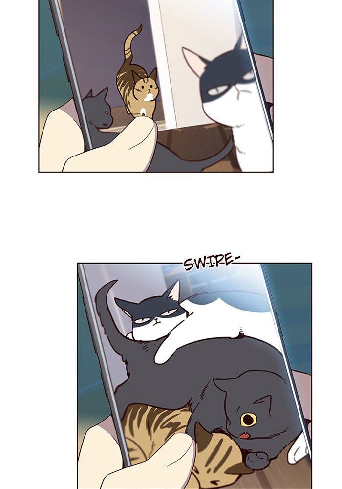 Hoá Thân Thành Mèo - Chapter 11 - Page 20