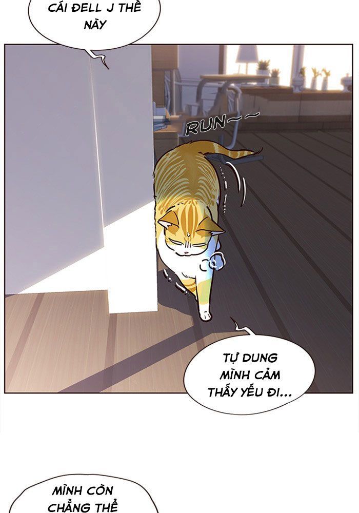 Hoá Thân Thành Mèo - Chapter 11 - Page 29