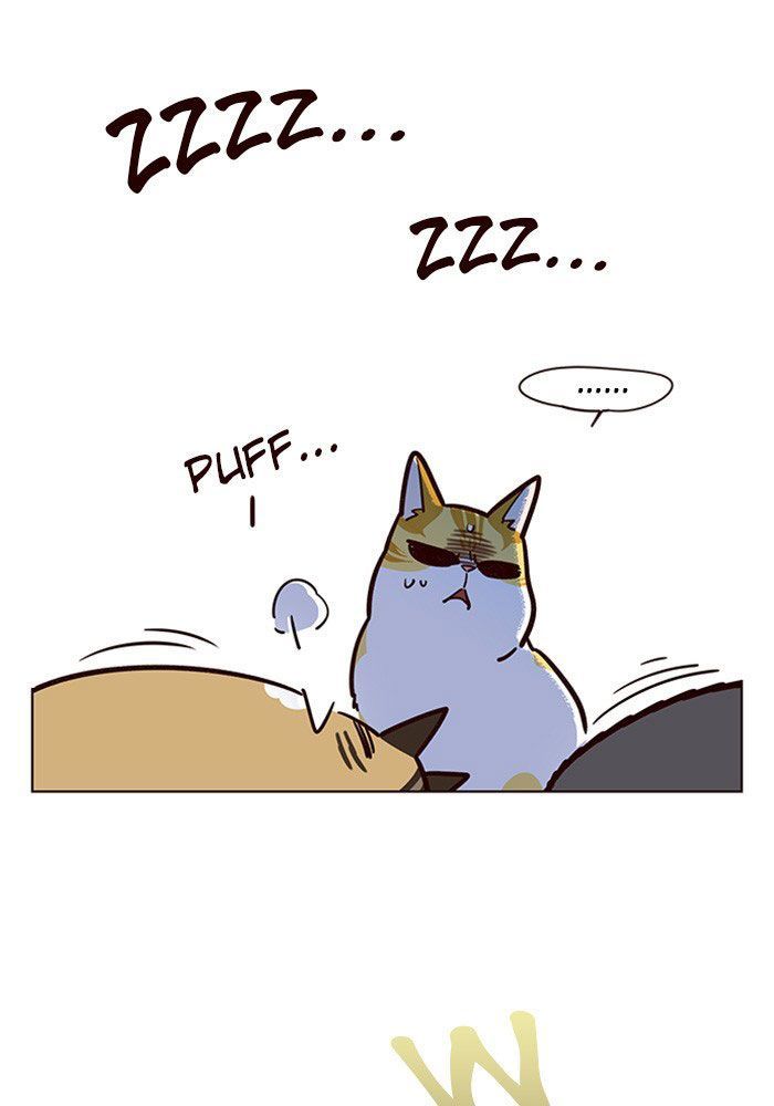 Hoá Thân Thành Mèo - Chapter 11 - Page 38