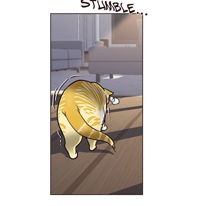 Hoá Thân Thành Mèo - Chapter 11 - Page 43