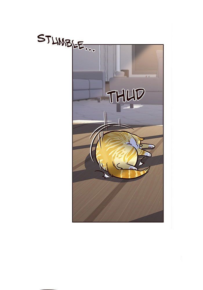 Hoá Thân Thành Mèo - Chapter 11 - Page 44