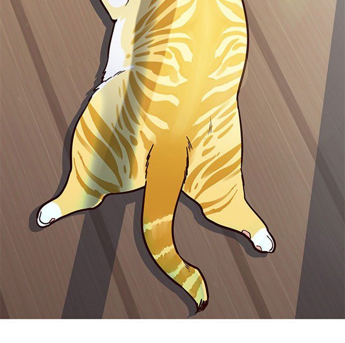 Hoá Thân Thành Mèo - Chapter 11 - Page 49