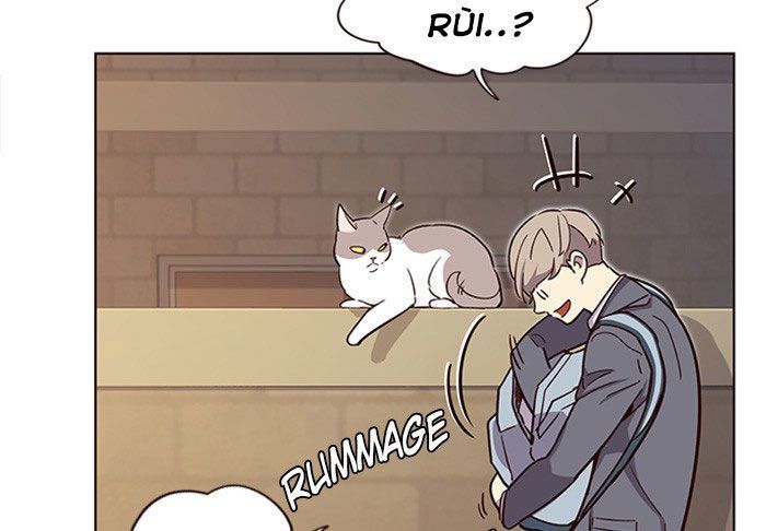 Hoá Thân Thành Mèo - Chapter 11 - Page 52