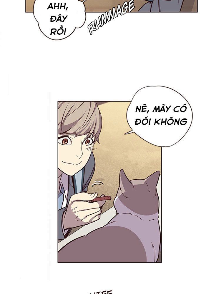 Hoá Thân Thành Mèo - Chapter 11 - Page 53