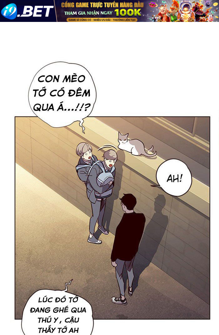 Hoá Thân Thành Mèo - Chapter 11 - Page 64