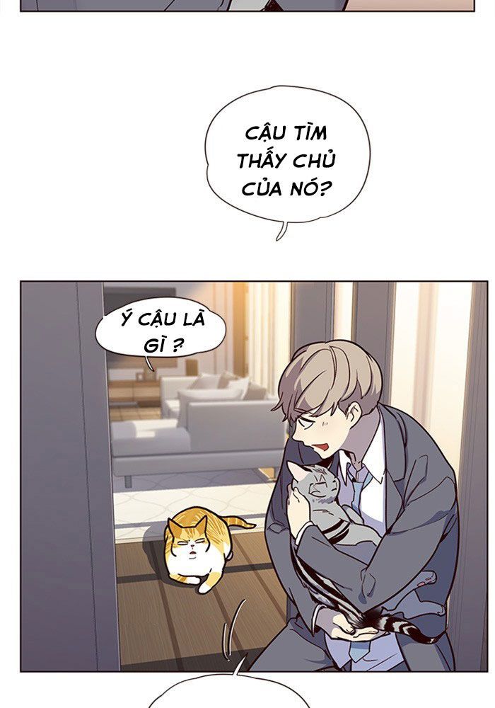 Hoá Thân Thành Mèo - Chapter 11 - Page 79