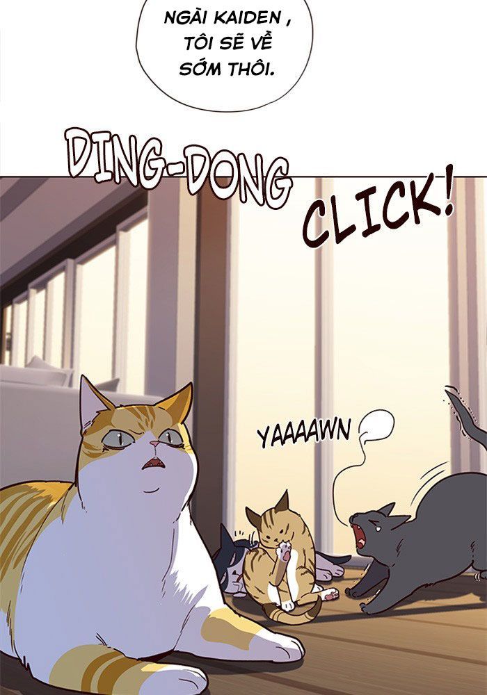Hoá Thân Thành Mèo - Chapter 11 - Page 80