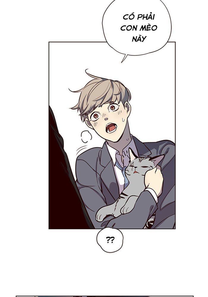 Hoá Thân Thành Mèo - Chapter 11 - Page 85