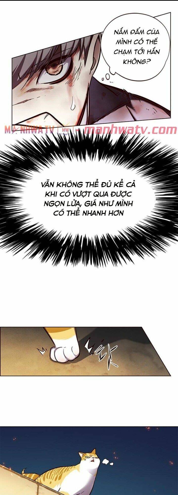 Hoá Thân Thành Mèo - Chapter 110 - Page 44