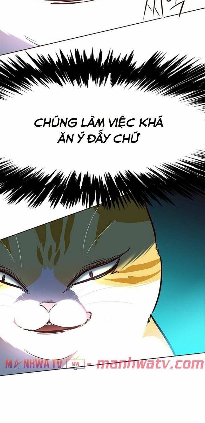 Hoá Thân Thành Mèo - Chapter 110 - Page 79