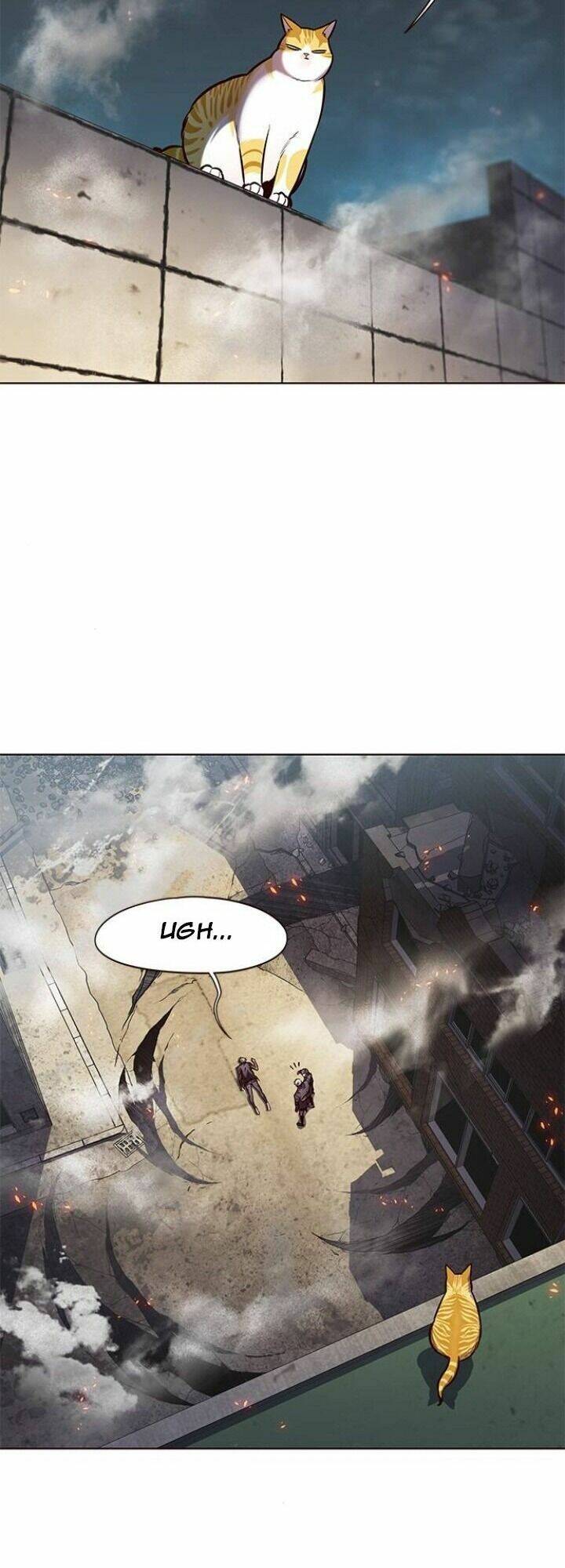 Hoá Thân Thành Mèo - Chapter 111 - Page 5