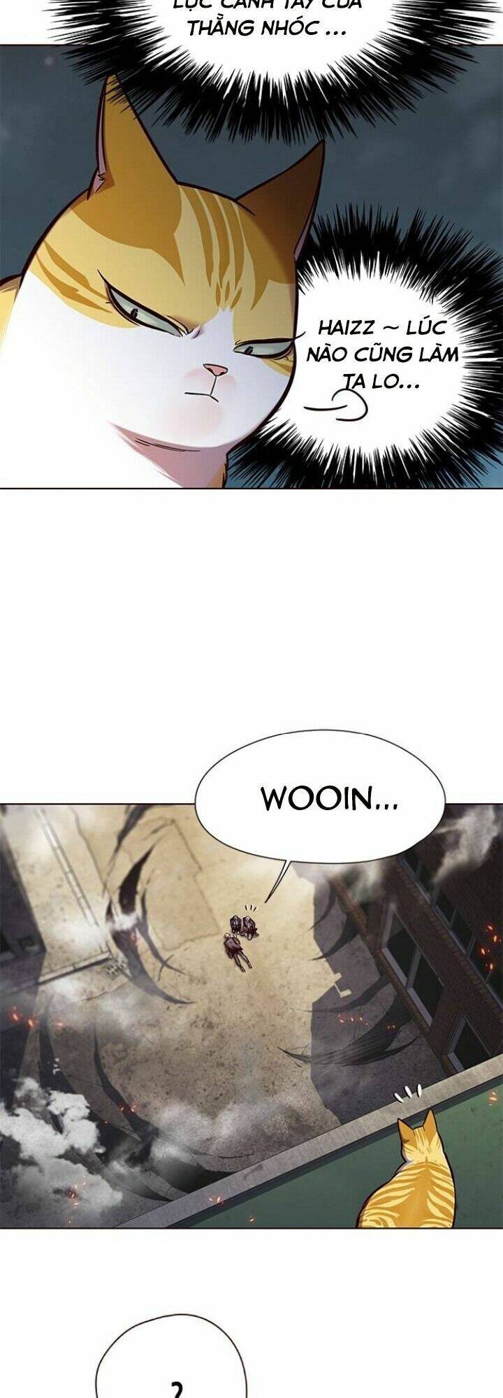 Hoá Thân Thành Mèo - Chapter 111 - Page 8