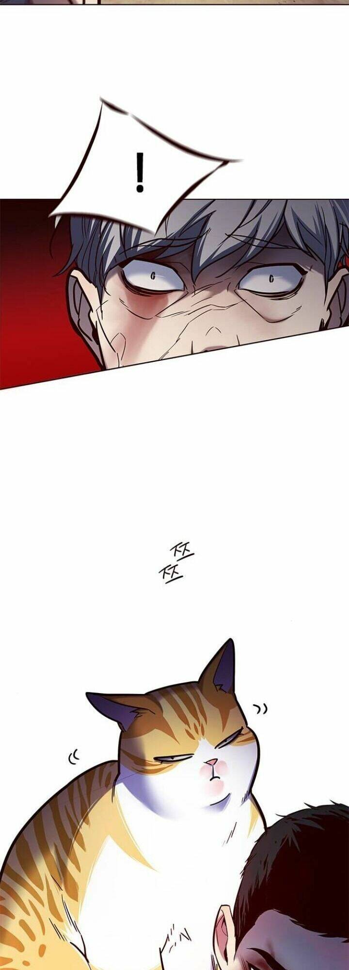 Hoá Thân Thành Mèo - Chapter 112 - Page 59