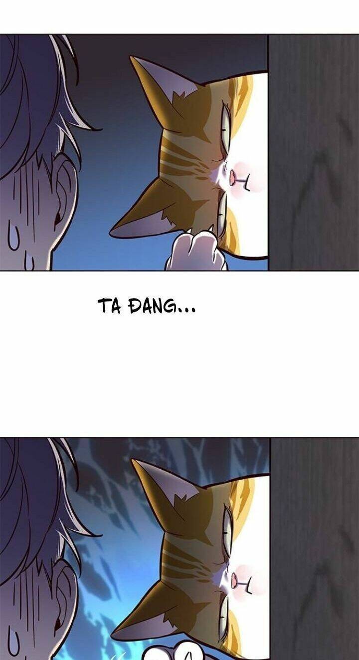 Hoá Thân Thành Mèo - Chapter 112 - Page 70