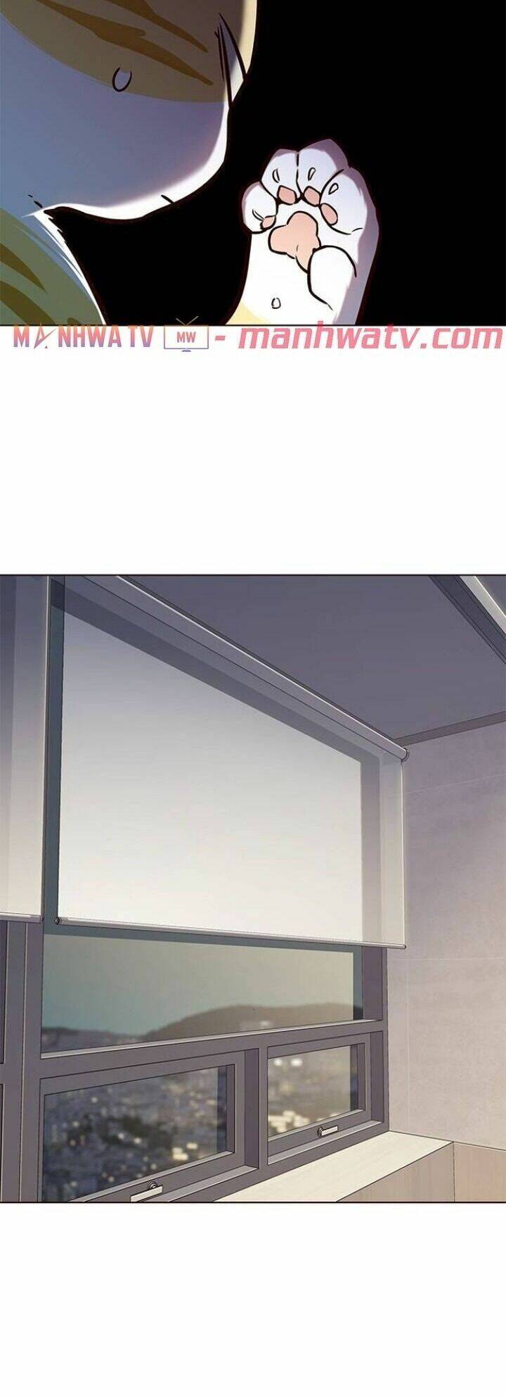 Hoá Thân Thành Mèo - Chapter 113 - Page 44