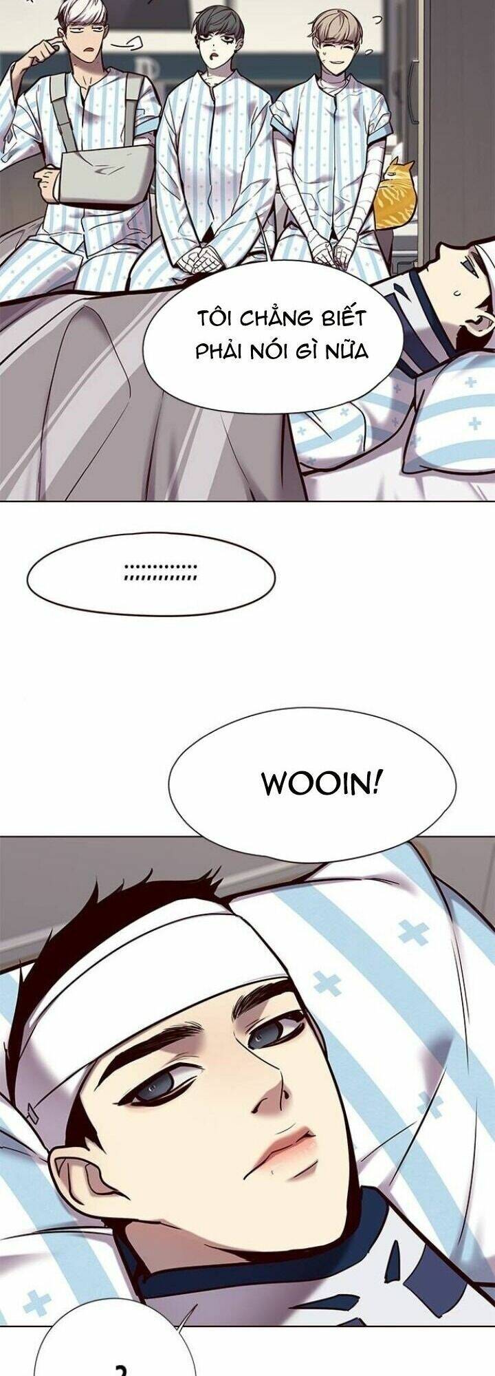 Hoá Thân Thành Mèo - Chapter 113 - Page 52