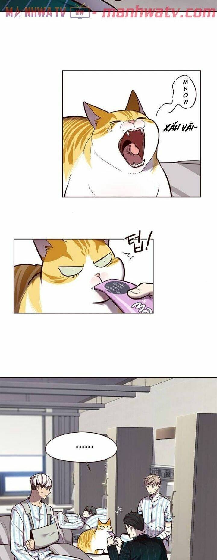 Hoá Thân Thành Mèo - Chapter 114 - Page 15