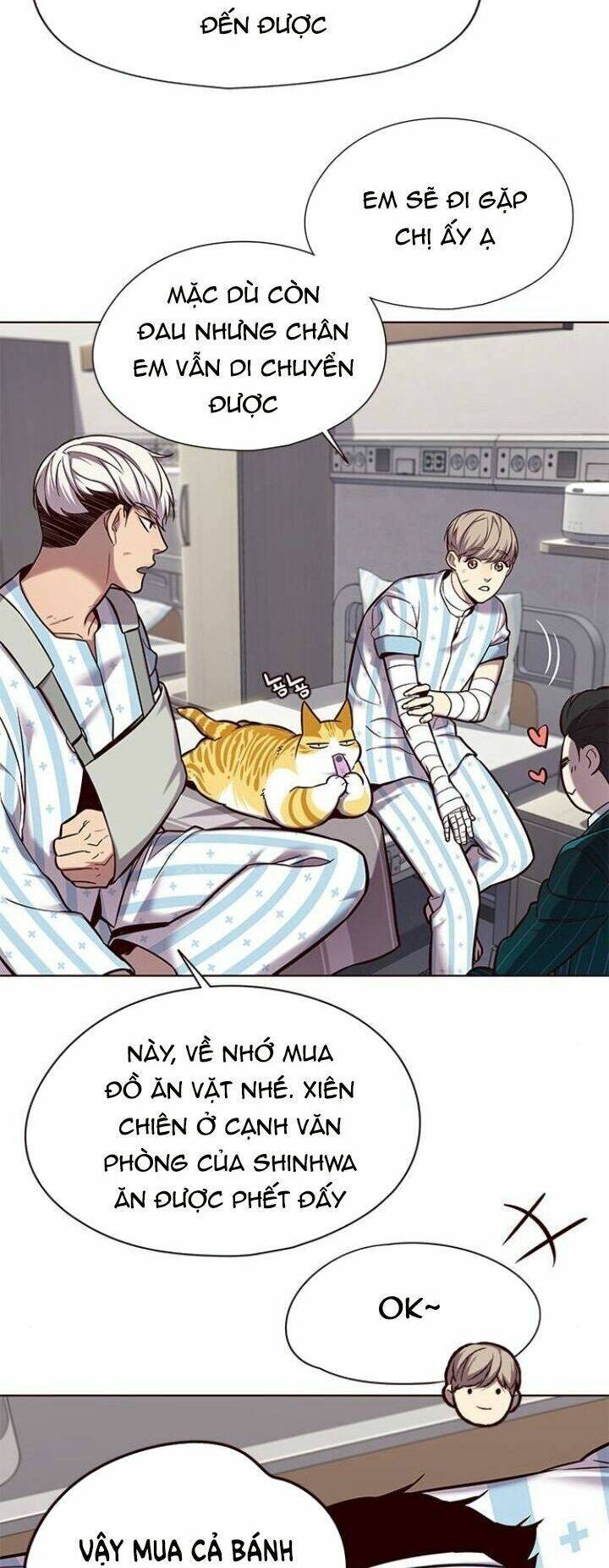 Hoá Thân Thành Mèo - Chapter 114 - Page 17