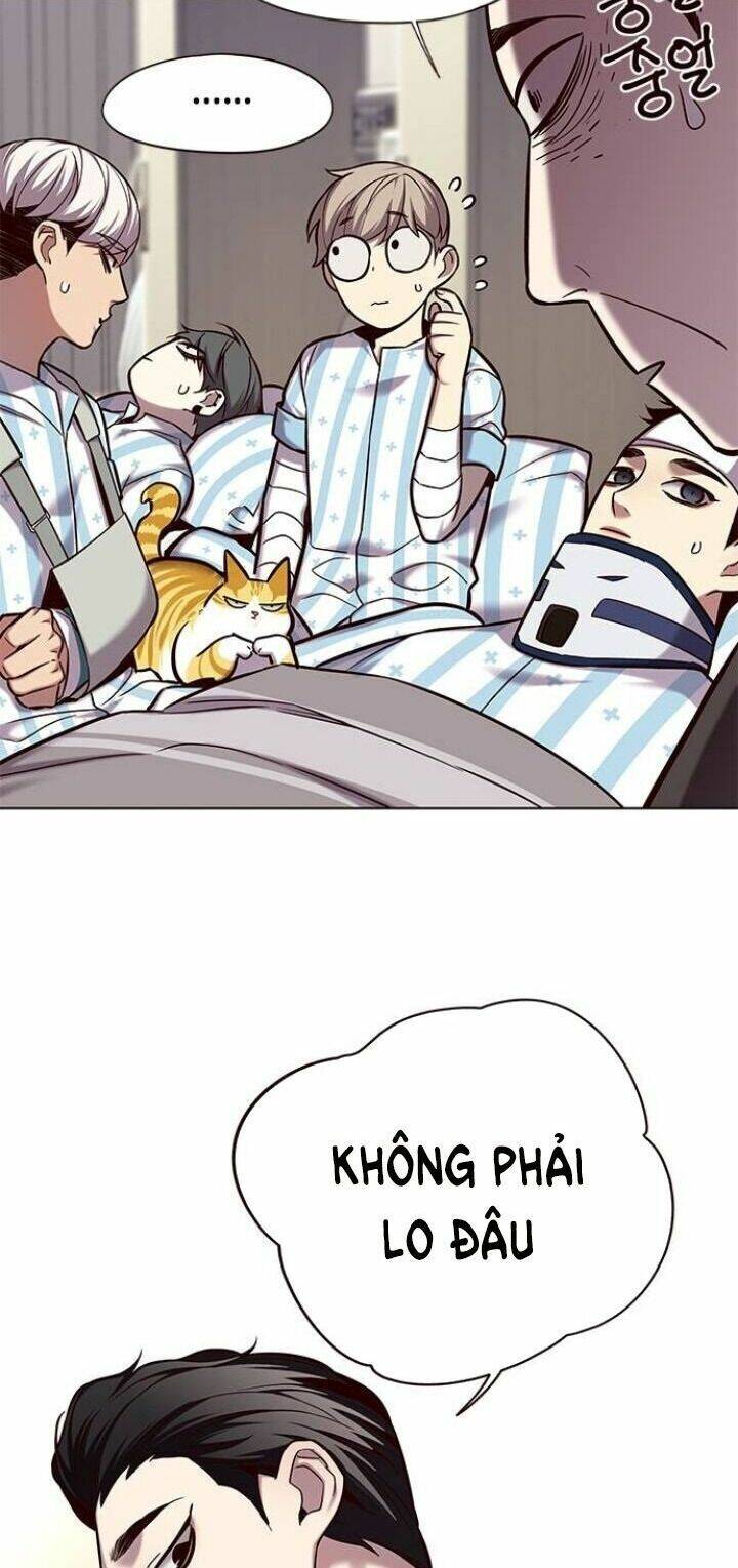 Hoá Thân Thành Mèo - Chapter 114 - Page 7